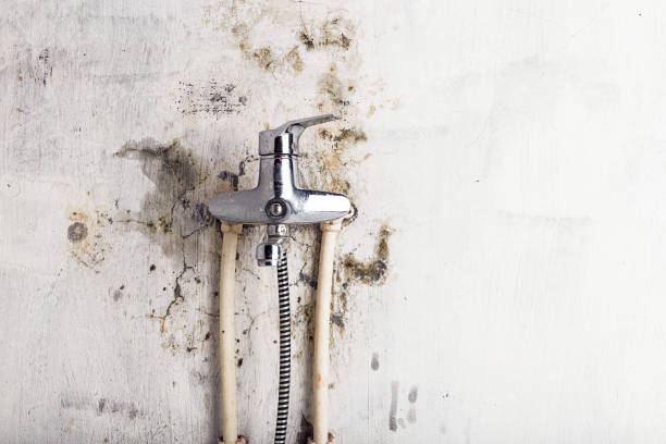 Best Mold Testing  in East Valley, NV