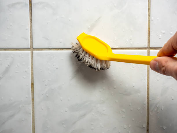 Best Best Mold Removal Companies  in East Valley, NV