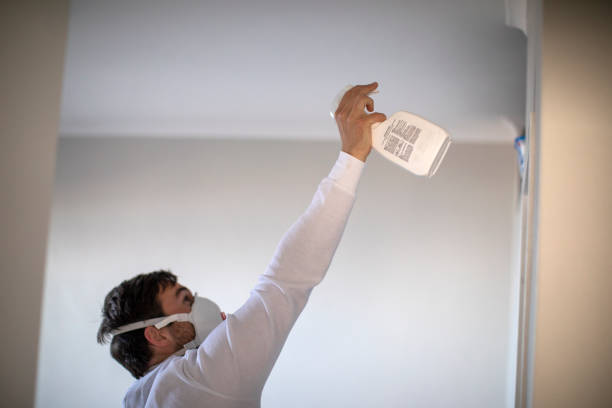 Mold Removal and Inspection in East Valley, NV